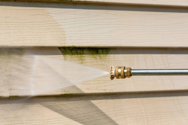 Deck Cleaning Services in Horse Shoe, NC